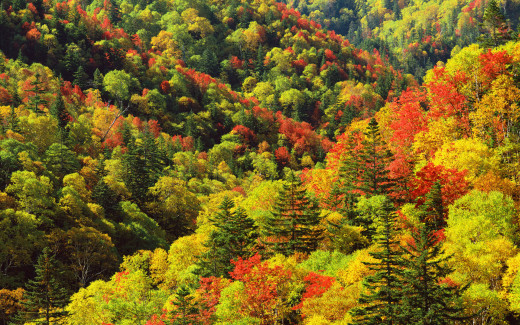 449644 (a): :1920x1200